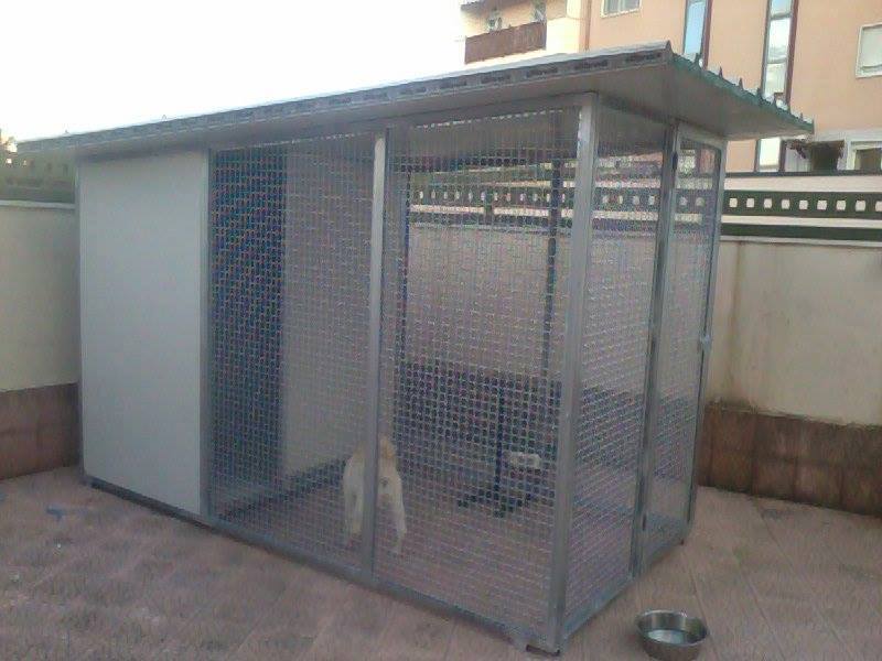 cod.0055 box per cani